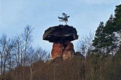 20190221_110753