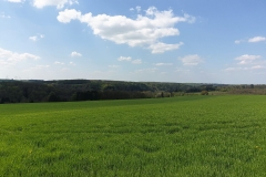20190501_143352