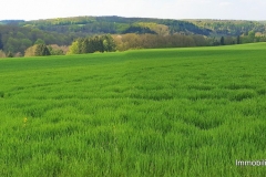 20190501_143452