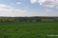 20190501_143559