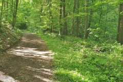 20190512_173051