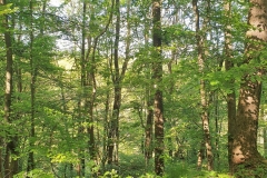 20190512_173102