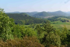pfaelzer-wald-foto-bild-54964860
