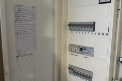 IMG_5961