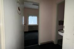 WhatsApp-Image-2026-02-11-at-12.16.51