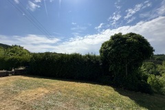 78