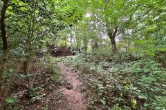 IMG_0230