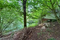 IMG_0232