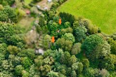 dji_fly_20250821_113446_0691_1755769062929_photo